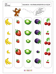 Zıt Kavram Eğitici Kartları